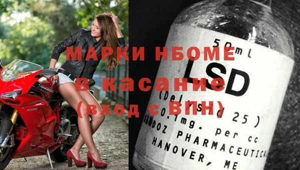 индика Алексин