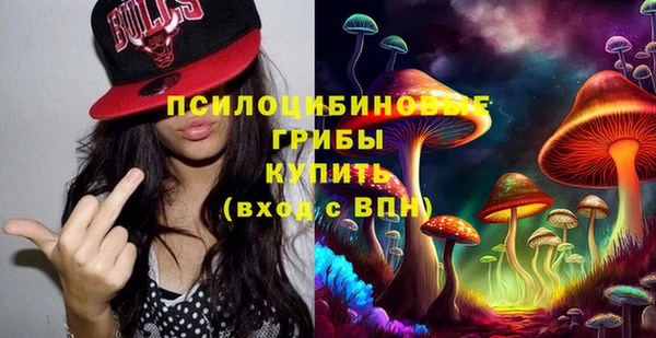индика Алексин
