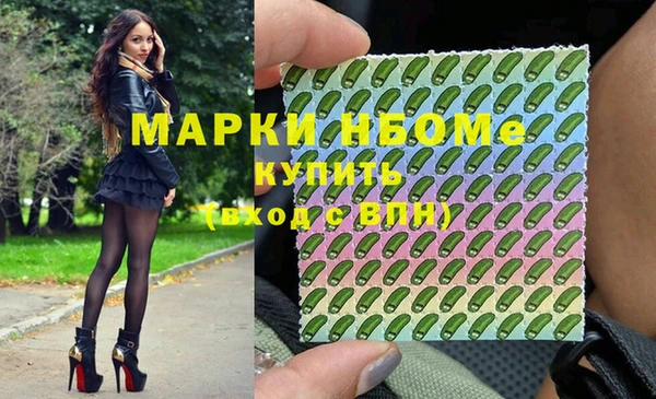 индика Алексин