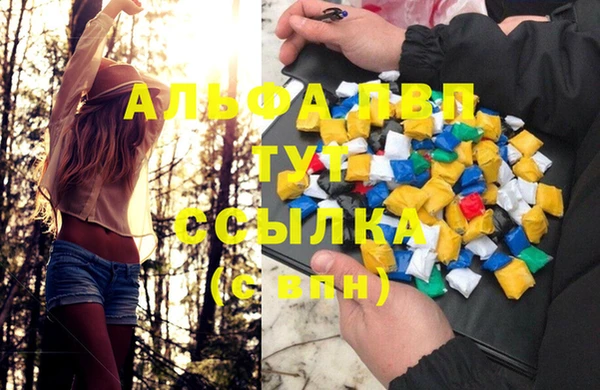 дурь Алзамай