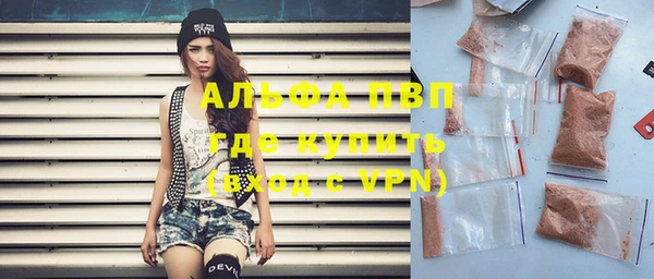 индика Алексин